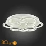 Потолочный светильник Evoluce Bonn SLE200502-12 - Фото 9