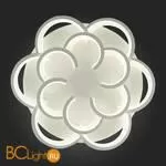 Потолочный светильник Evoluce Bonn SLE200502-12 - Фото 13