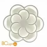 Потолочный светильник Evoluce Bonn SLE200502-12 - Фото 3