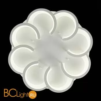 Потолочный светильник Evoluce Bonn SLE200502-08 - Фото 10