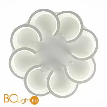 Потолочный светильник Evoluce Bonn SLE200502-08 - Фото 4