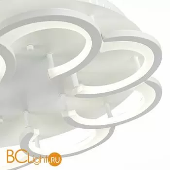 Потолочный светильник Evoluce Bonn SLE200502-08 - Фото 6