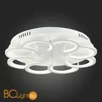 Потолочный светильник Evoluce Bonn SLE200502-08 - Фото 13