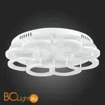 Потолочный светильник Evoluce Bonn SLE200502-08 - Фото 14