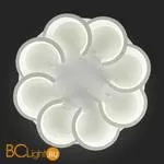 Потолочный светильник Evoluce Bonn SLE200502-08 - Фото 17