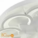 Потолочный светильник Evoluce Bonn SLE200502-08 - Фото 5