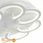 Потолочный светильник Evoluce Bonn SLE200502-08 - Фото 6