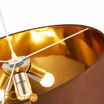 Подвесной светильник Evoluce Brescia SLE300593-03 - Фото 1