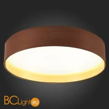 Потолочный светильник Evoluce Brescia SLE300592-01 - Фото 4