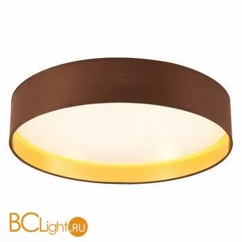 Потолочный светильник Evoluce Brescia SLE300592-01 - Фото 0