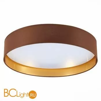 Потолочный светильник Evoluce Brescia SLE300592-01 - Фото 2