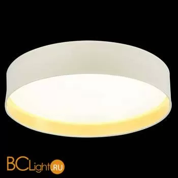 Потолочный светильник Evoluce Brescia SLE300552-01 - Фото 3