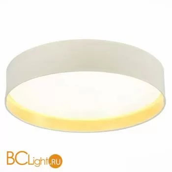 Потолочный светильник Evoluce Brescia SLE300552-01