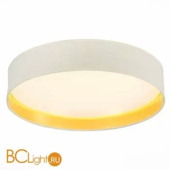 Потолочный светильник Evoluce Brescia SLE300552-01 - Фото 0