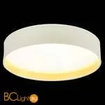 Потолочный светильник Evoluce Brescia SLE300552-01 - Фото 3