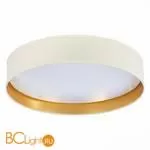 Потолочный светильник Evoluce Brescia SLE300552-01 - Фото 2