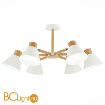 Люстра Evoluce Buve SLE103702-06 - Фото 0