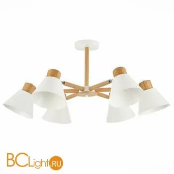 Люстра Evoluce Buve SLE103702-06 - Фото 1