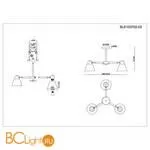 Люстра Evoluce Buve SLE103702-03 - Фото 1