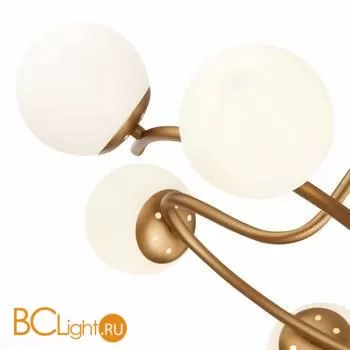 Люстра Evoluce Calabria SLE220602-06 - Фото 1