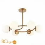 Люстра Evoluce Calabria SLE220602-06