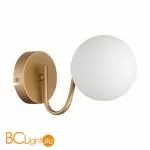 Бра Evoluce Calabria SLE220601-01 - Фото 0