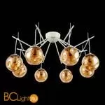 Люстра Evoluce Calletta SLE110202-08