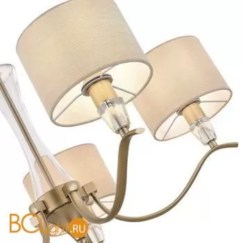 Люстра Evoluce Cassia SLE1126-203-05 - Фото 1