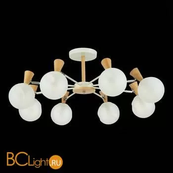 Люстра Evoluce Catania SLE220702-08 - Фото 3