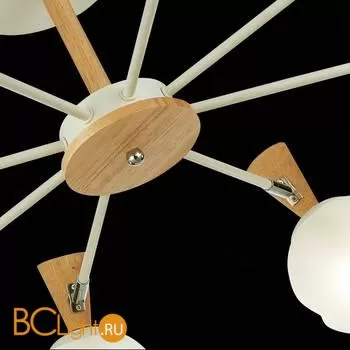 Люстра Evoluce Catania SLE220702-08 - Фото 4