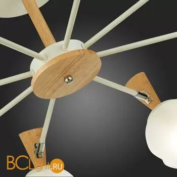 Люстра Evoluce Catania SLE220702-08 - Фото 7