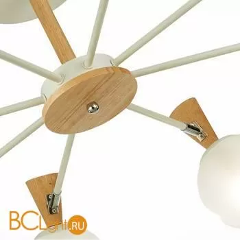 Люстра Evoluce Catania SLE220702-08 - Фото 2