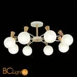 Люстра Evoluce Catania SLE220702-08