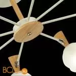 Люстра Evoluce Catania SLE220702-08 - Фото 4