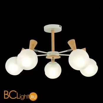 Люстра Evoluce Catania SLE220702-05 - Фото 2