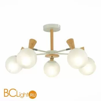 Люстра Evoluce Catania SLE220702-05