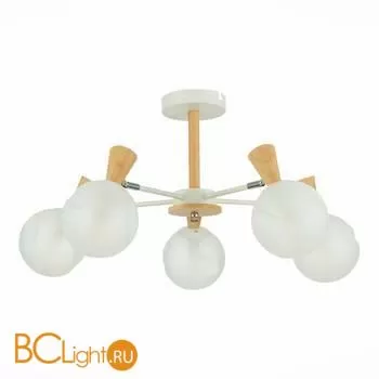 Люстра Evoluce Catania SLE220702-05 - Фото 0