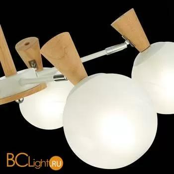 Люстра Evoluce Catania SLE220702-05 - Фото 4