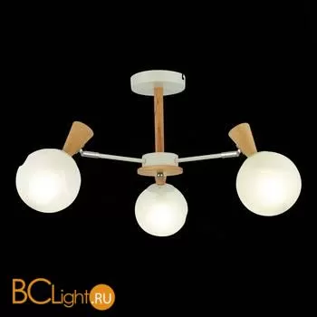 Люстра Evoluce Catania SLE220702-03