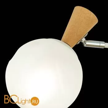 Люстра Evoluce Catania SLE220702-03 - Фото 4