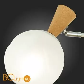 Люстра Evoluce Catania SLE220702-03 - Фото 7