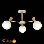 Люстра Evoluce Catania SLE220702-03