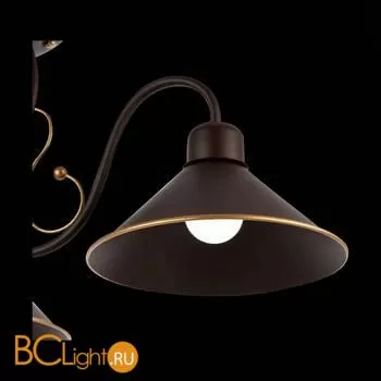 Люстра Evoluce Ciolla SLE120402-03 - Фото 2