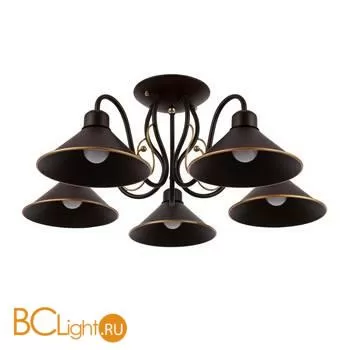 Люстра Evoluce Ciolla SLE120402-05 - Фото 0