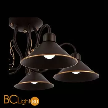 Люстра Evoluce Ciolla SLE120402-05 - Фото 5