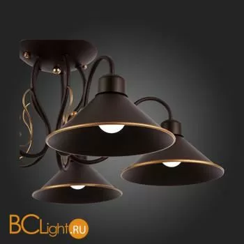 Люстра Evoluce Ciolla SLE120402-05 - Фото 9