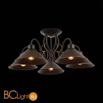 Люстра Evoluce Ciolla SLE120402-05 - Фото 6