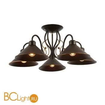 Люстра Evoluce Ciolla SLE120402-05 - Фото 2