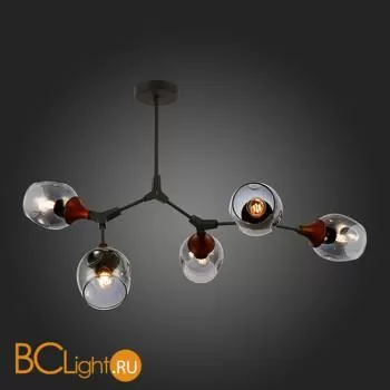 Люстра Evoluce Ciotolla SLE113402-05 - Фото 5