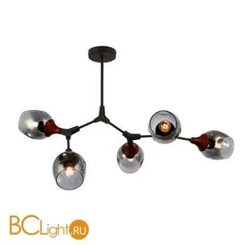 Люстра Evoluce Ciotolla SLE113402-05